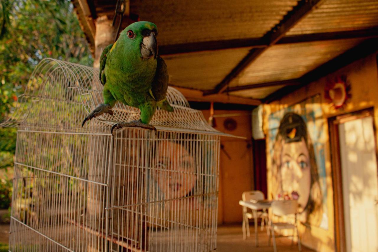 شقة La Casa Del Artista Esquipulas المظهر الخارجي الصورة